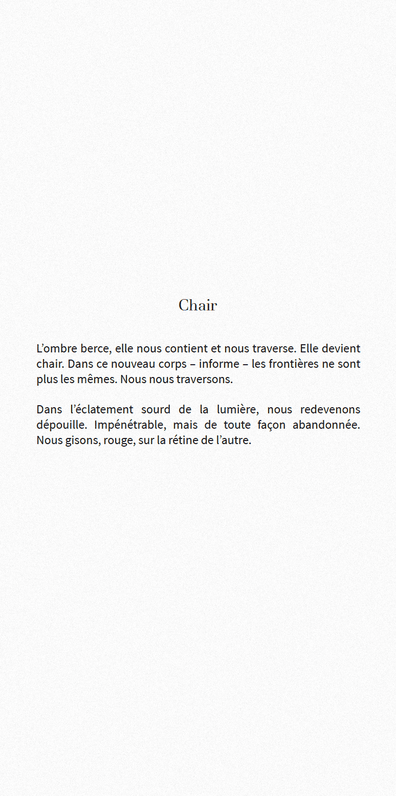 texte chair gris bruit v2